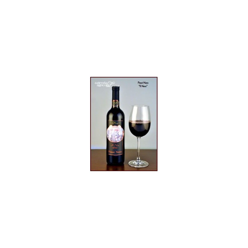 6x750ml Il Nero, Pinot nero, Bio-Rotwein aus der Lombardei