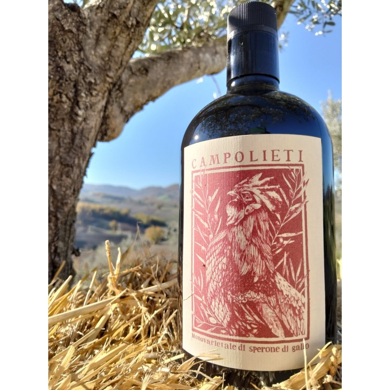 Oliven&ouml;l extra vergine, sortenrein, "Campolieti" aus Italien 750ml, Region Molise
